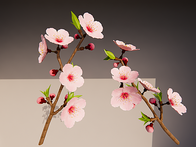 花草 桃花 桃树枝 插花 植物花卉