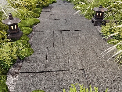 日式新中式石头 石板路 汀步 苔藓 花草 植物组合