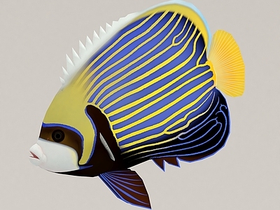 水生类动物 鱼 水族馆 海缸 观赏鱼