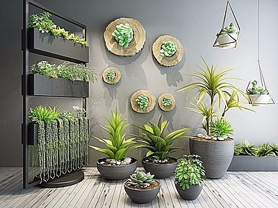 现代佛龛 室内花架植物盆栽