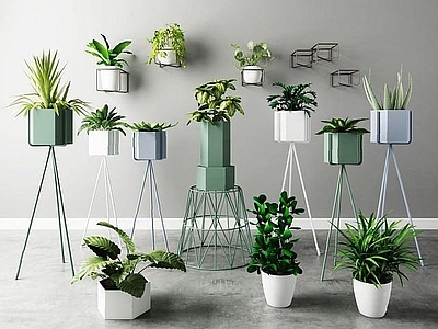 现代佛龛 植物盆栽花架组合