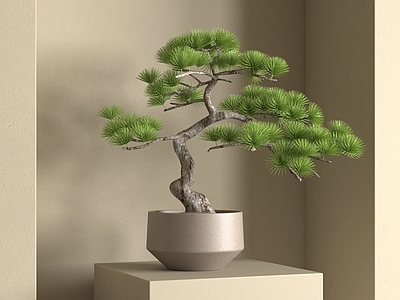 盆栽 盆栽 新中式植物