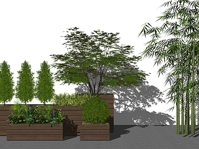 竹子 3D植物 3D竹子 植物花箱 树池竹子 盆栽竹子