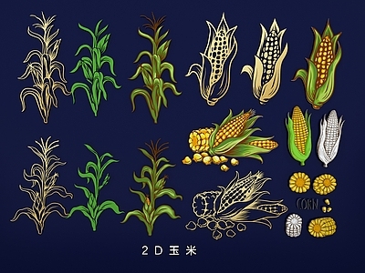 农作物 玉米苞谷