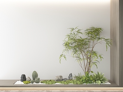 盆景 绿植景观