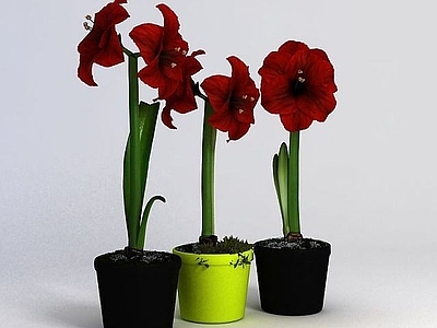 现代佛龛 花卉