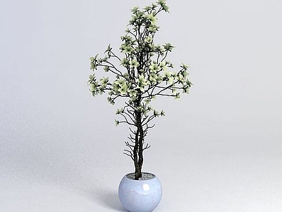 现代佛龛 绿植盆栽