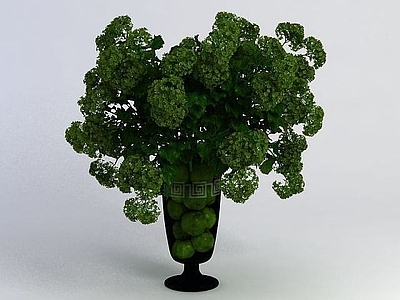 现代佛龛 盆栽植物