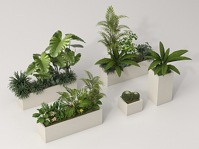 花箱 植物堆 外摆绿植花箱 植物组合花箱