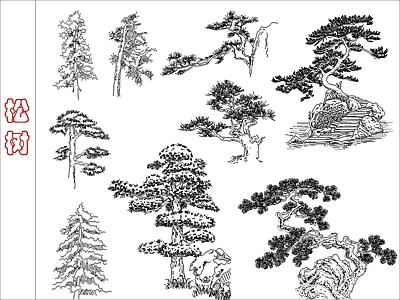 现代绿植 松树 施工图
