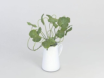 现代佛龛 绿植盆栽