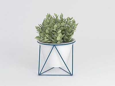现代佛龛 植物盆栽