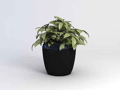 现代佛龛 绿植盆栽