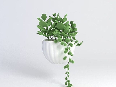 现代佛龛 多肉植物