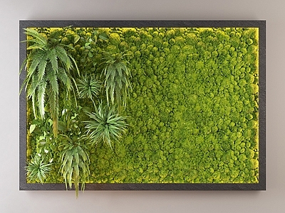绿植墙