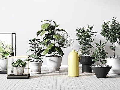 现代佛龛 绿植盆栽