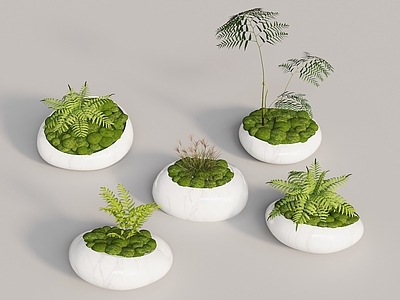 盆景 植物摆件 现代景观树池 座椅花池 景观小品 石头树池