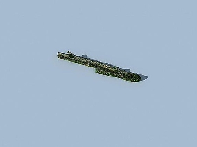 现代办公桌 树木