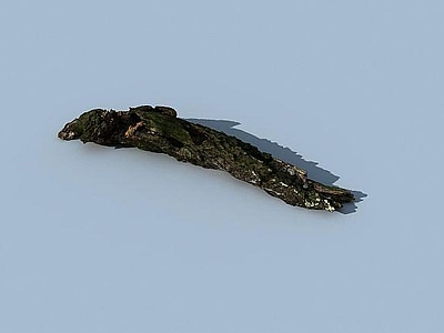 现代办公桌 树木