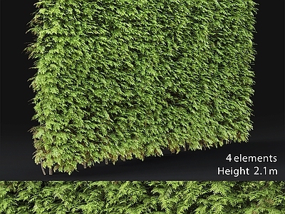 绿植墙 植物墙 绿篱 景观绿植墙 外墙绿植 户外绿植墙