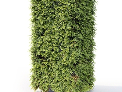 绿植墙 植物墙 景观绿植墙 户外绿植墙 外墙绿植 绿篱
