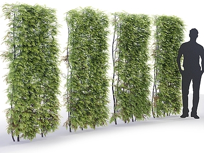 绿植墙 植物墙 绿篱 景观绿植墙 外墙绿植 户外绿植墙
