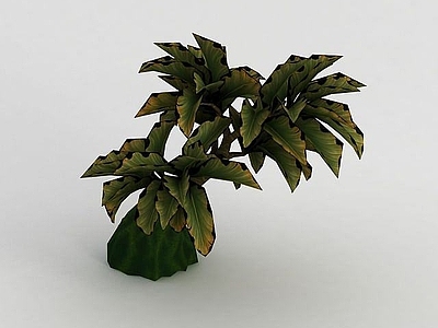 现代办公大厅 魔兽世界植物装饰