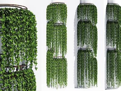 藤蔓 爬藤 爬山虎 爬墙虎 外墙绿植 绿篱