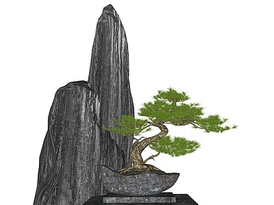 灌木 盆栽灌木 迎客松 景观松树 场景仙境