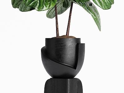 盆景 盆景