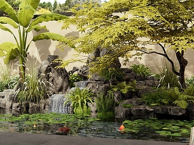 新中式假山水景 水景 假山 水生植物 芭蕉 枫树