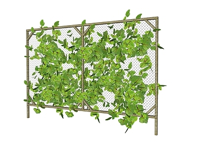 现代农场 攀藤植物网