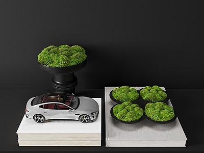 苔藓 苔藓饰品 苔藓 饰品 盆景 新中式饰品