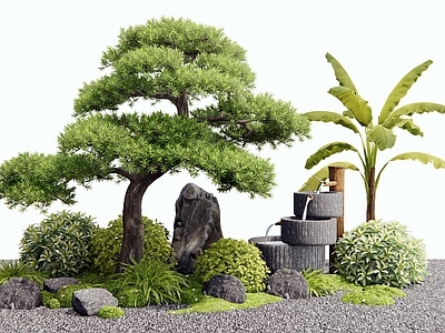 乔木 松树 植物组合 灌木 水钵水景 景观树
