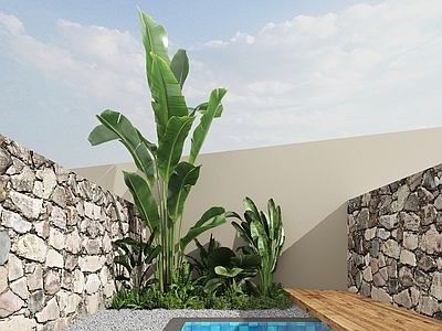 植物组合 植物堆 树池植物组合