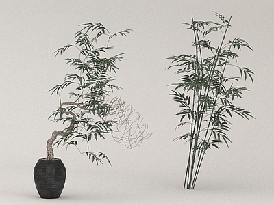 其他绿植 盆栽 竹子 花草 摆件 餐厅摆件
