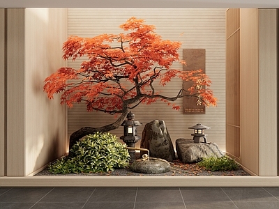 新中式室内景观 水钵水景 植物造景 红枫 景观石头 端景