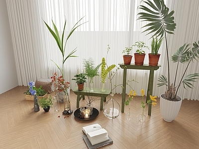 盆栽 绿植摆件 阳台绿植 摆件