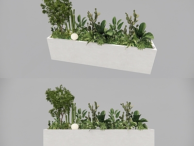 植物组合 盆栽组合 植物堆 绿植组合