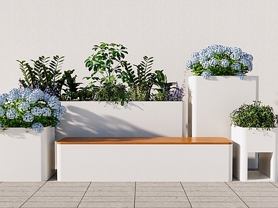 花草 花箱花草