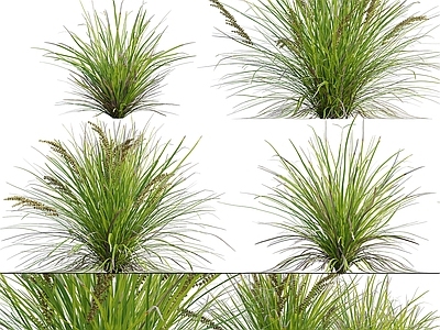 草