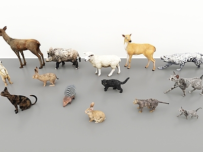 其他动物 野生保护动物 麋鹿花豹野猪刺猬 黄鼬草兔狸猫
