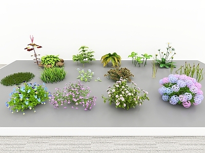 花草组合 植物花卉