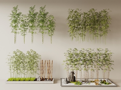 竹子 竹子 竹林 景观竹