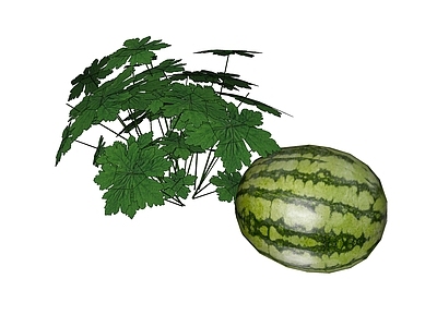 水果蔬菜 西瓜