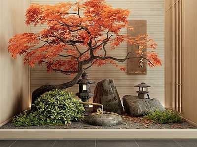 现代室内景观 庭院小品 植物造景 景观石头 红枫 水钵水景