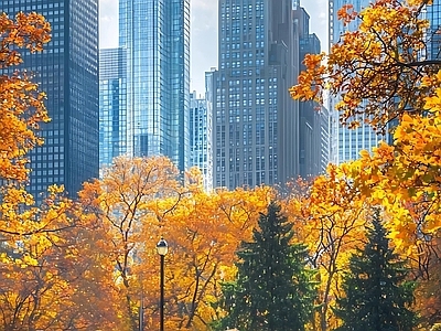 现代街道外景 人行道 建筑人行道外景