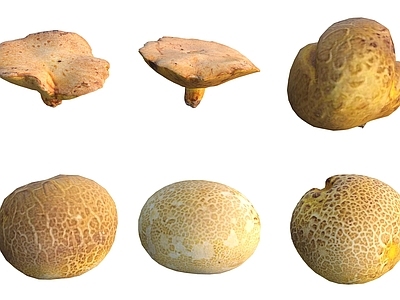 农作物 蘑菇菌类