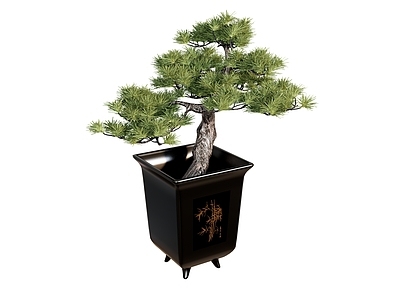 盆栽 花盆盆栽植物绿植 罗汉松