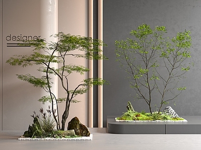 景观树 景观树 景观造景 庭院小品 植物组合 植物堆